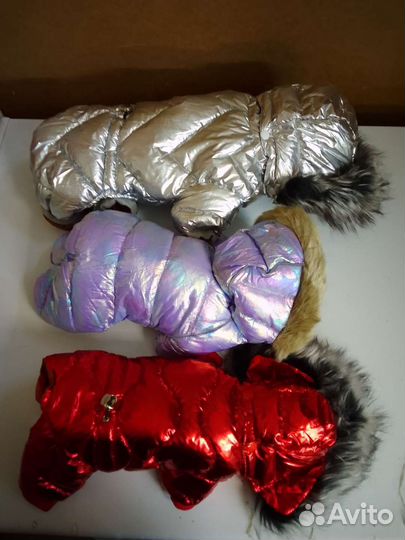 Одежда для собак