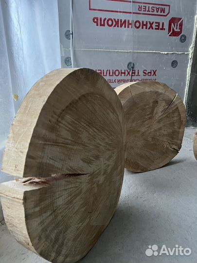 Большой спил Белого Ясеня