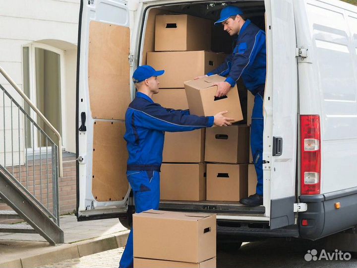 Грузчик ежедневные выплаты