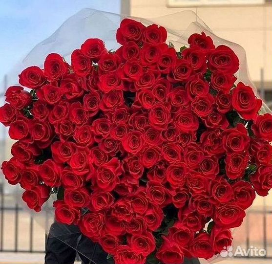 Розы Букеты Цветы Розы 31 101 151 201 Доставка