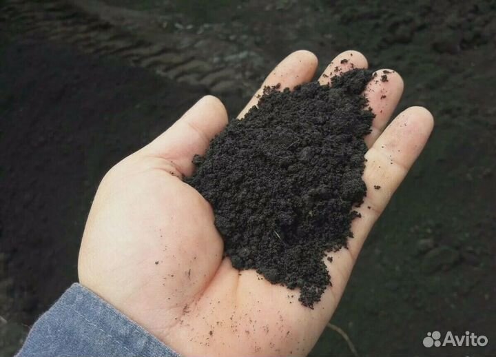 Чернозём тамбовский