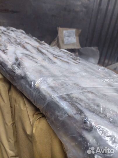 Морская рыба Мойва Патассу