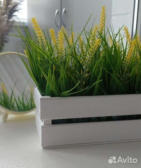 Осока с лавандой в деревянном кашпо