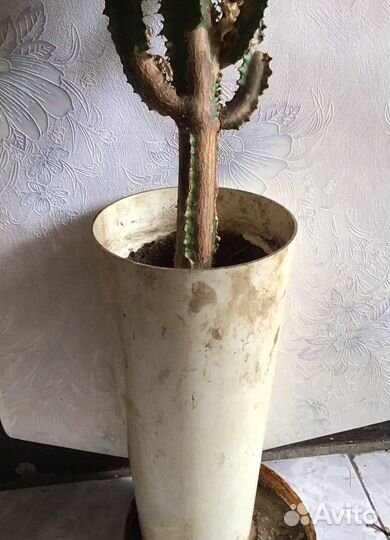 Цветок (высота 195 см)