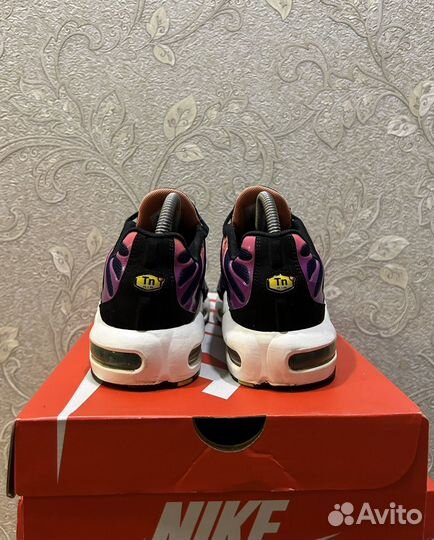 Nike air max plus TN