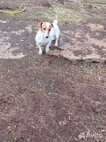 Девочка суперская