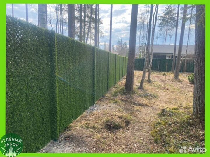 Зелёный Забор