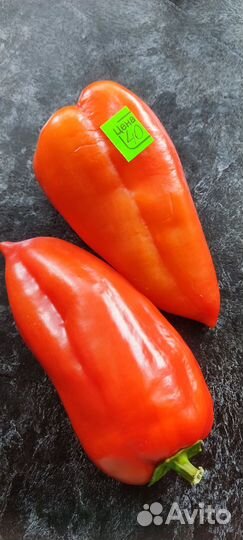 Семена сладкого перца