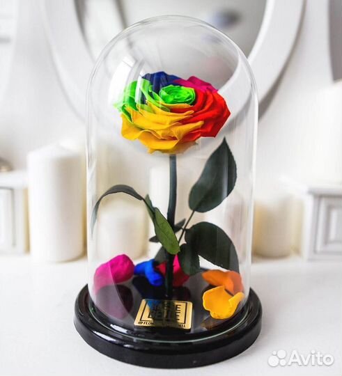 Роза в колбе. Неувядающая