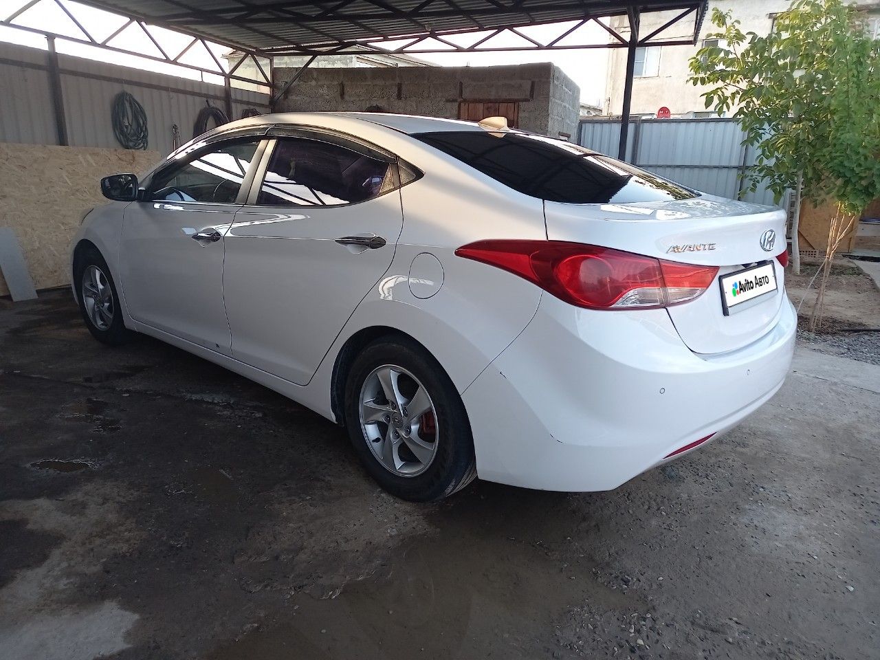 Hyundai Avante: фото из отзыва