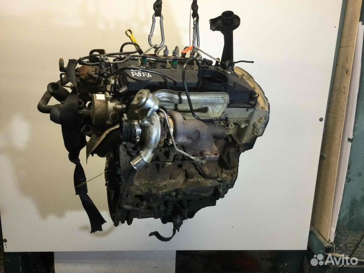 Двигатель Ford Transit 2007 P8fa 2.2