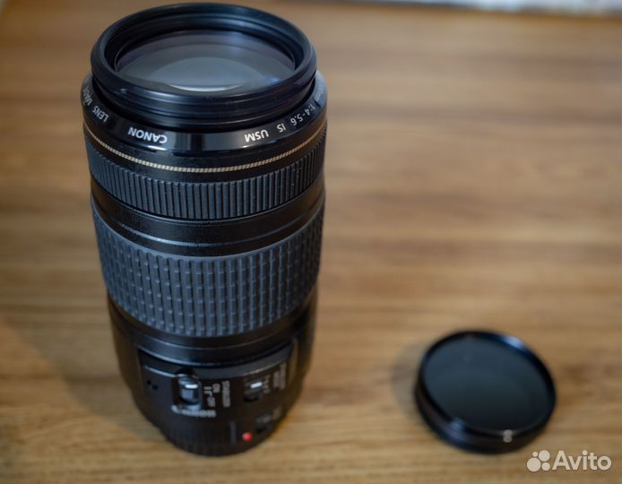 Canon EF 70-300mm f/4-5.6 IS USM