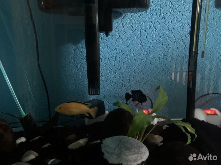 Аквариум