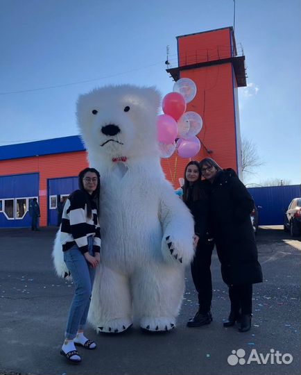 Белый медведь поздравление аниматор на праздник