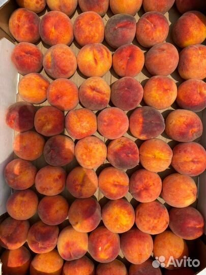 Саженцы персика