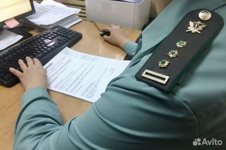 Закрою долг у пристава/сниму запреты навсегда