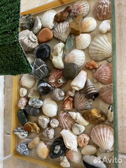 Аквариум для черепах