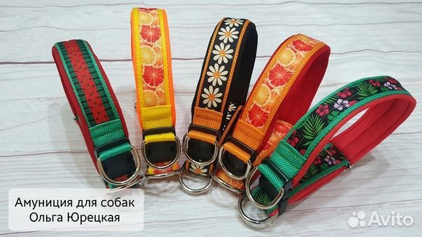 Ошейники и поводки для собак