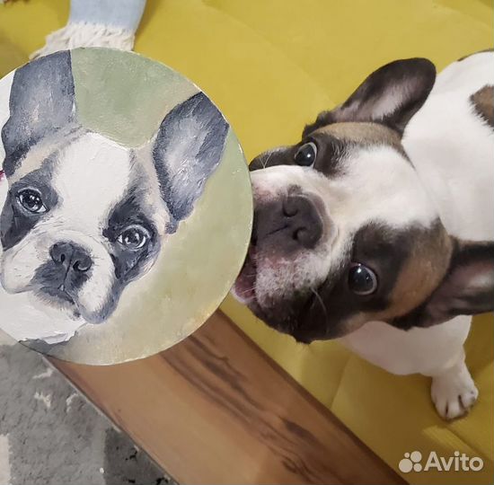 Портрет питомца/ картина маслом