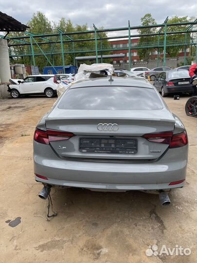 Автомобиль в разборе Audi A5 (2 поколение 2019г)