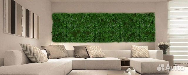 Фитокартина