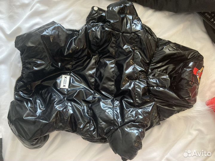 Куртка для собак мелких пород