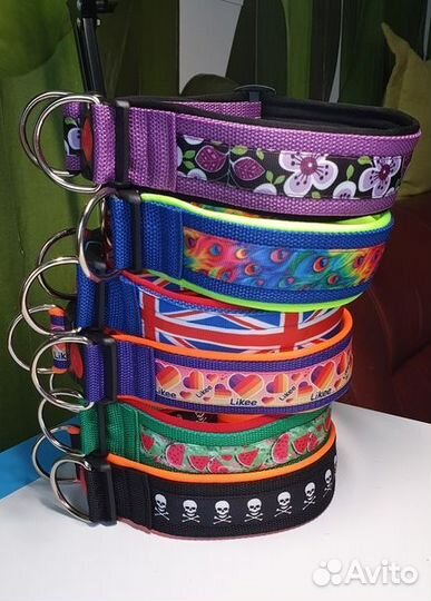 Ошейники и поводки для собак