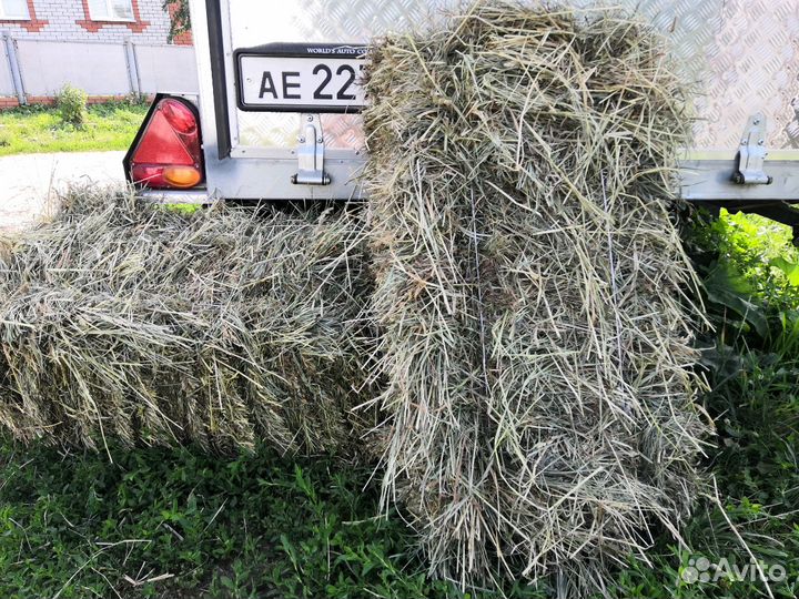Сено, солома-2023 г укос