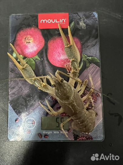 Раки крупные