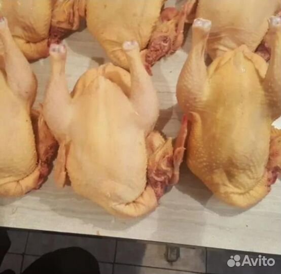 Мясо домашнего бройлера