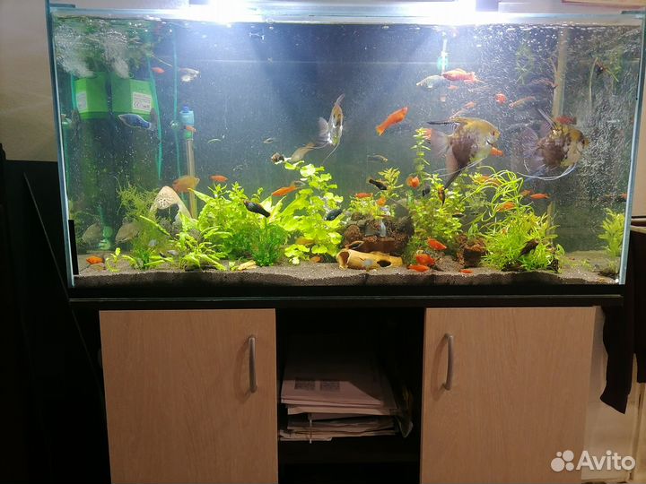 Продаю аквариум