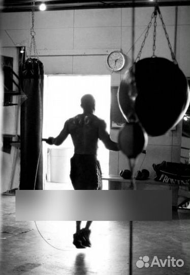 Бокс все районы