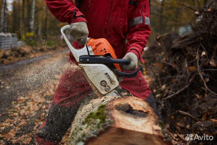 Спил деревьев