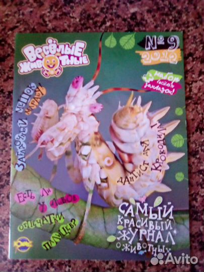 Веселые животные