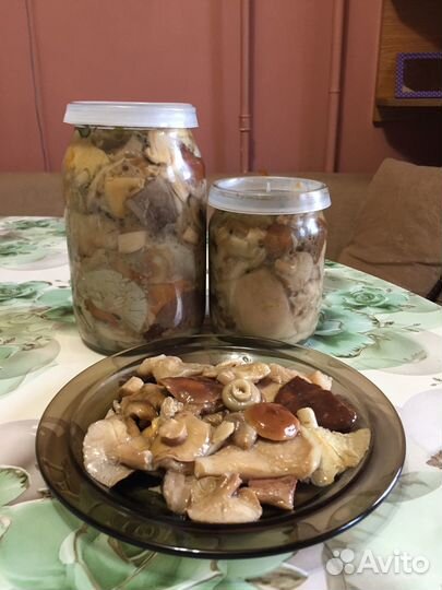 Заготовки домашние: грибы, щавель