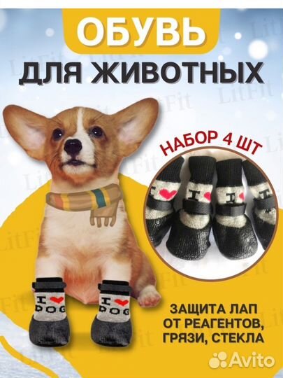 Одежда для собак