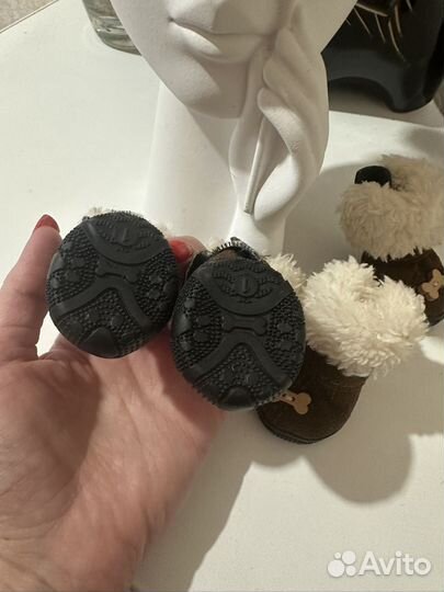 Сапожки для собаки