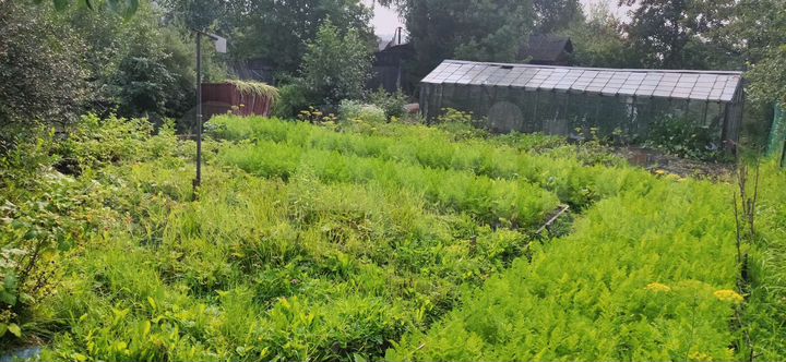 Дача 30 м² на участке 6,4 сот.