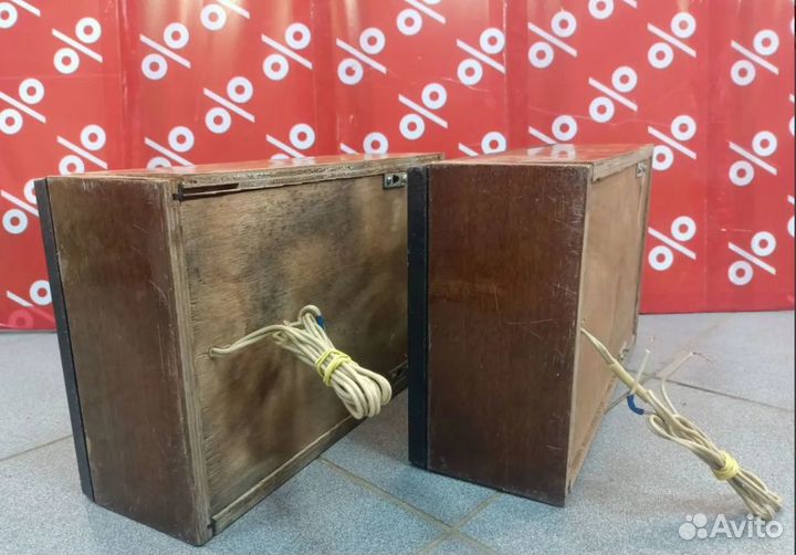 Акустические колонки Вега 15Ас-408