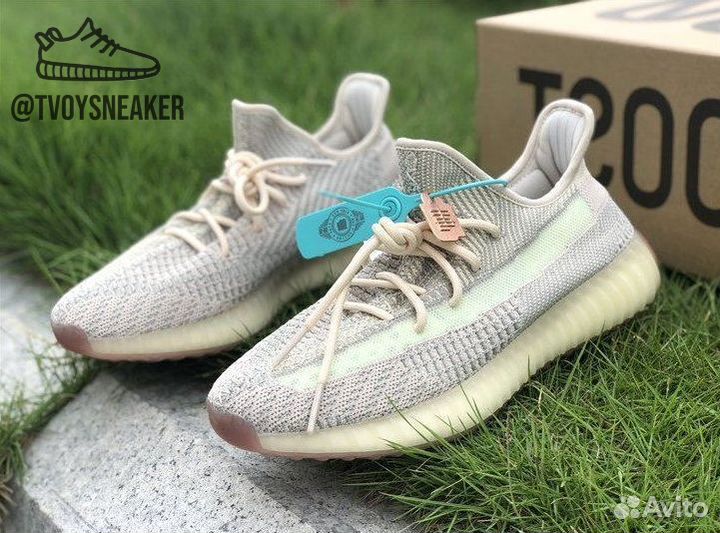 Adidas Yeezy Boost 350 Citrin reflective бежевые