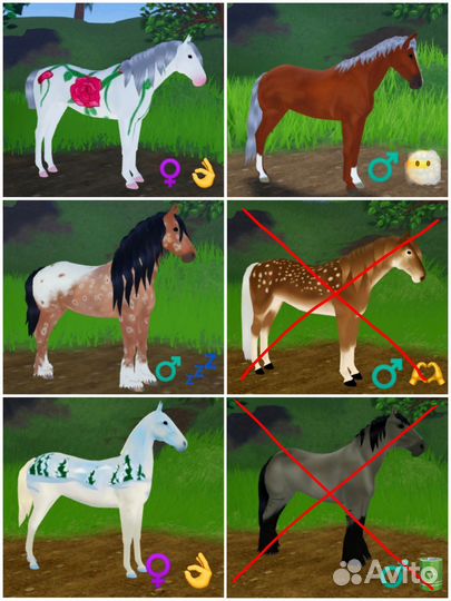 Лошади Wild Horse Islands (Roblox)