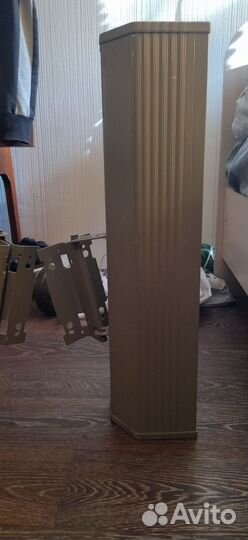 Уличная двухполосная звуковая колонна CS-830