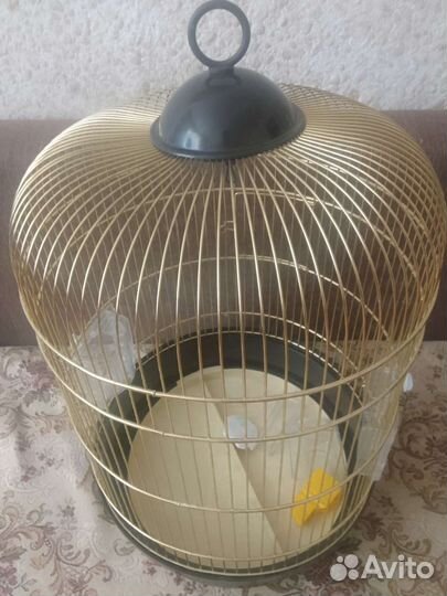 Клетка для птиц бу