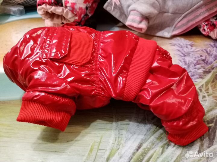 Зимний комбинезон для маленькой собаки