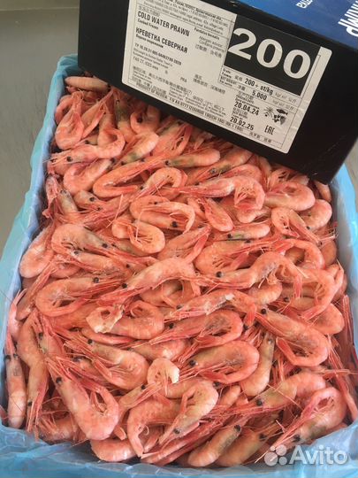 Креветка северная 200+