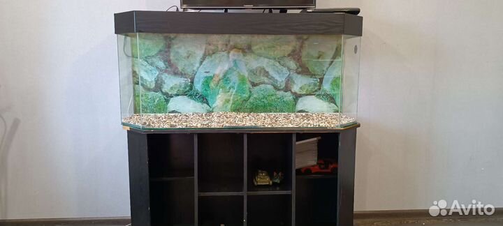 Аквариум с тумбой бу