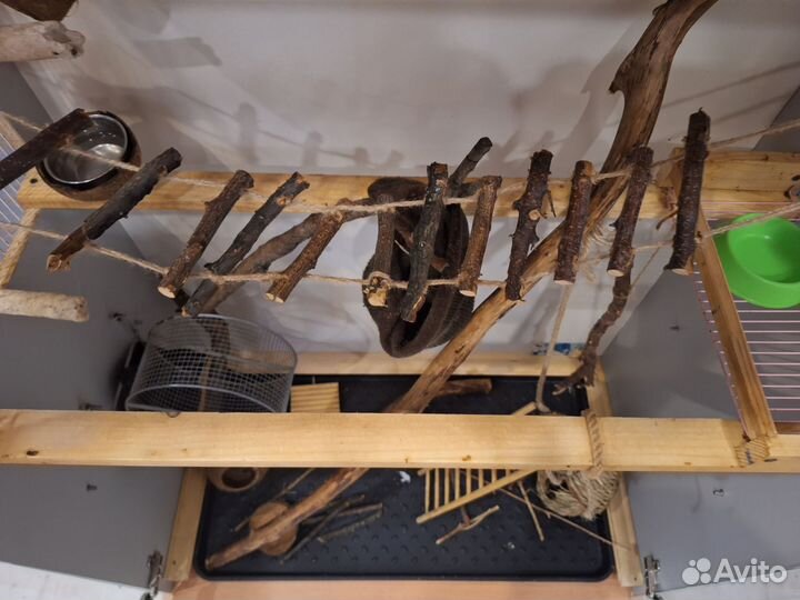 Витрина для грызунов, клетка для грызунов