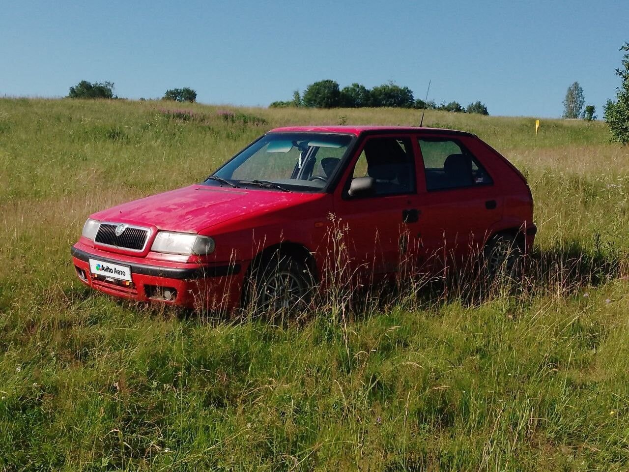 Skoda Felicia: фото из отзыва