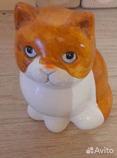 Коллекция котов и кошечек