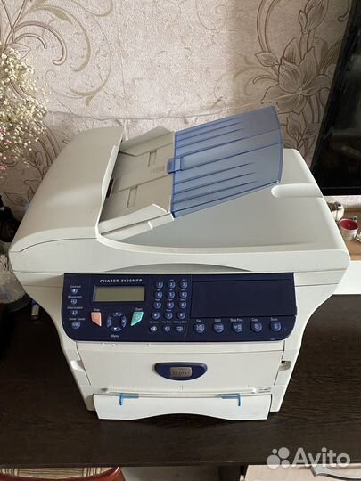 Принтер Xerox phaser 3100